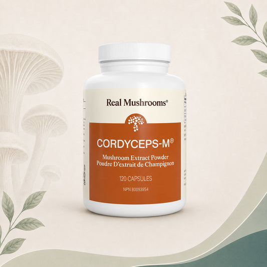 Cordyceps-M - Organic Cordyceps-M® Extract Capsules - BiosenseClinic
